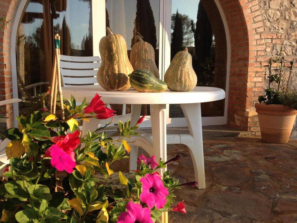 Podere Il Mulino Pieve di Santa Luce Exterior photo